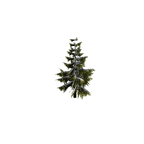 Pine_Tree_Green 1_Snow